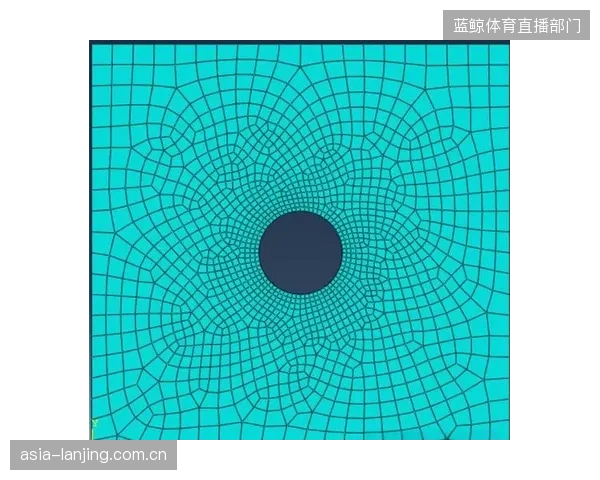 未来三年，AI将大规模介入有限元分析，自动优化轴承拓扑结构，寻找人类工程师意想不到的最优解